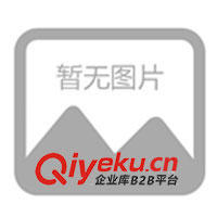 供應(yīng)各類(lèi)染色、印花搖粒雙面絨毯子或面料(圖)